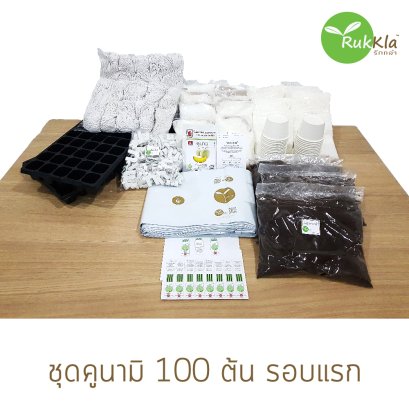 ชุดคูนามิ 100 ต้น รอบแรก