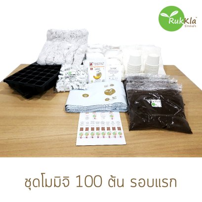 ชุดโมมิจิ 100 ต้น รอบแรก