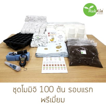 ชุดโมมิจิ 100 ต้นรอบแรกพรีเมี่ยม