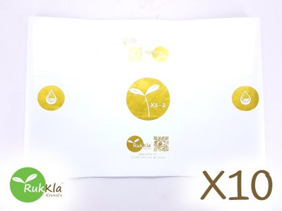 ถุงปลูกเมล่อน 10 ใบ