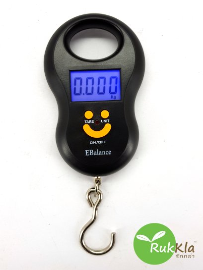 เครื่องชั่งน้ำหนักแบบแขวน