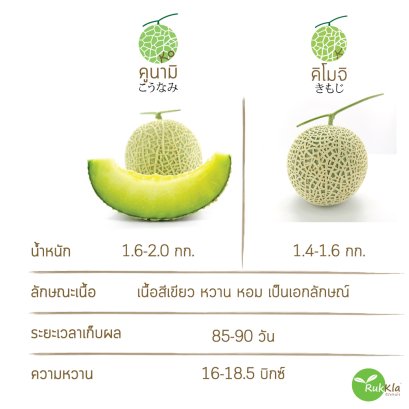 "คิโมจิ" และ "คูนามิ" เหมือนกันอย่างไร