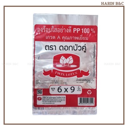 PP Bag 6x9inch 500g