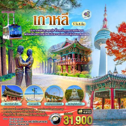 เที่ยวเกาหลีใต้ Go KOREA by TG ขึ้นเคเบิ้ลอุทยานซอรัคซาน ไหว้พระใหญ่ ช้อปจุใจตลาดเมียงดง ตลาดฮงแด