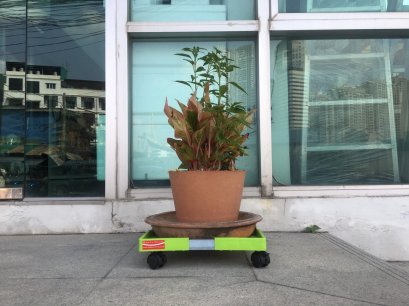 ที่วางกระถางต้นไม้ ฐานวางกระถางต้นไม้ติดล้อ วางระเบียงคอนโดอพาร์ทเม้นต์เคลื่อนย้ายง่ายมีเบรกกันล้อเคลื่อนที่ ไม่ต้องประกอบแกะกล่องใช้ได้เลย