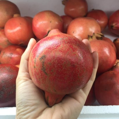 ทับทิมอินเดีย 1 ลูก เอกลักษณ์เนื้อสีแดงฉ่ำ เมล็ดนิ่มลีบแบน