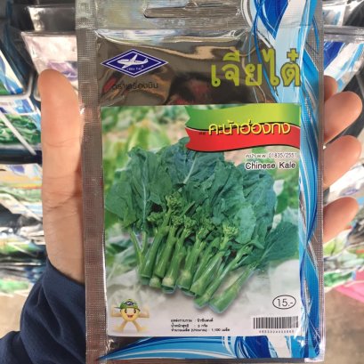 เมล็ดพันธ์ุคะน้าฮ่องกง