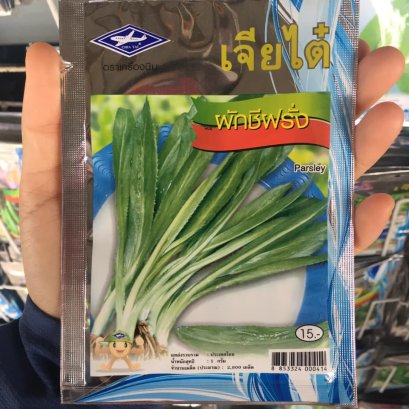 เมล็ดพันธ์ุผักชีฝรั่ง