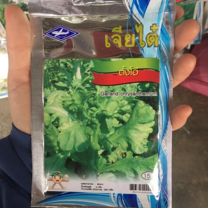 เมล็ดพันธ์ุผักตั้งโอ๋