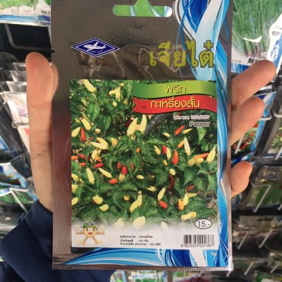 เมล็ดพันธ์ุพริกกะเหลี่ยงสั้น