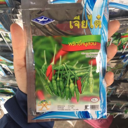 เมล็ดพันธ์ุพริกขี้หนูสวน