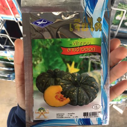 เมล็ดพันธ์ุฝักทอง