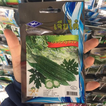 เมล็ดพันธ์ุมะเขือมะระขี้นกลูกใหญ่