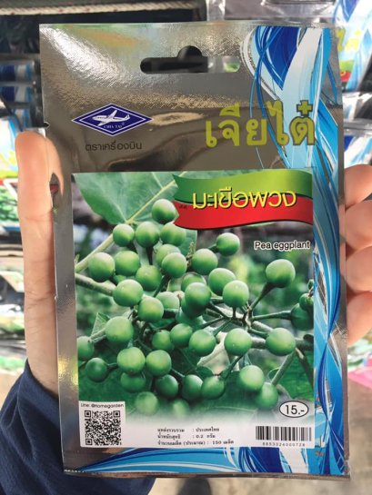 เมล็ดพันธ์ุมะเขือพวง