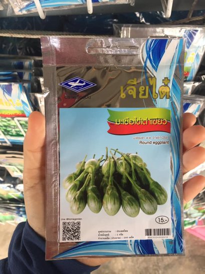 เมล็ดพันธ์ุมะเขือเต่า