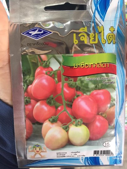 เมล็ดพันธ์ุมะเขือเทศสีดา