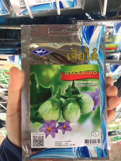 เมล็ดพันธ์ุมะเขือเปาะจาว