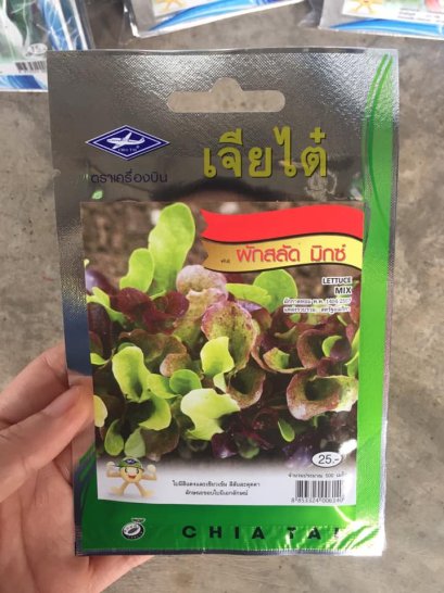 เมล็ดพันธ์ุผักสลัดมิกซ์