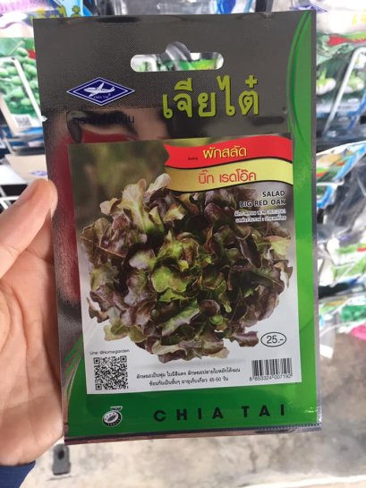 เมล็ดพันธ์ุผักสลัดเรดโอ็ค