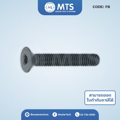 Socket Head Cab Screws สกรูหัวจมเตเปอร์ (FB)