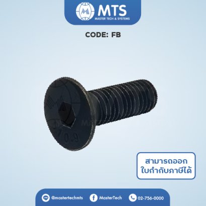 Socket Head Cab Screws สกรูหัวจมเตเปอร์ (FB)