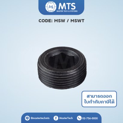 Screw Plugs ปลั๊กอุด (MSW)