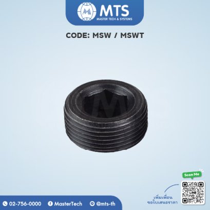 Screw Plugs ปลั๊กอุด (MSW)