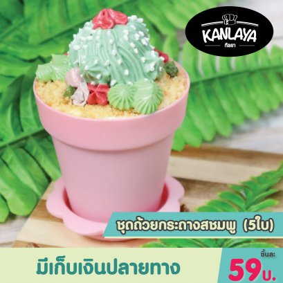 ชุดถ้วยกระถาง สีชมพู (5ใบ)