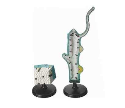 หุ่นจำลองไฮดร้า