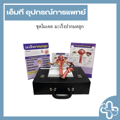 ชุดโมเดล มะเร็งปากมดลูก