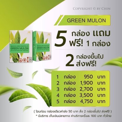 GREEN MULON กรีน มูลอน แก้ปัญหาเรื่องภูมิแพ้