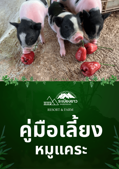 หนังสือคู่มือ ดูแลหมูแคระพอตเบลลี่