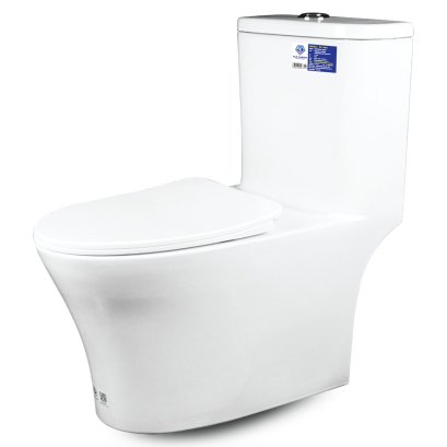 Blue diamond one piece Sanitary Ware model FH1864 dual system (press top)