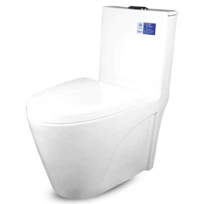 Blue diamond one piece Sanitary Ware model FH1872 dual system (press top)