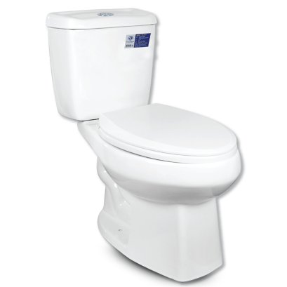 Blue diamond Two piece toilet Model FH 2463T dual system(press top)