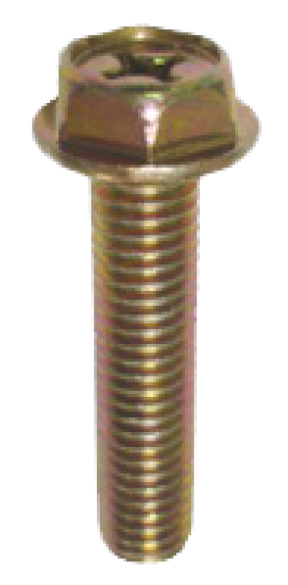 สกรูหัวเหลี่ยมติดแหวน สีรุ้งทอง ( DHW+)