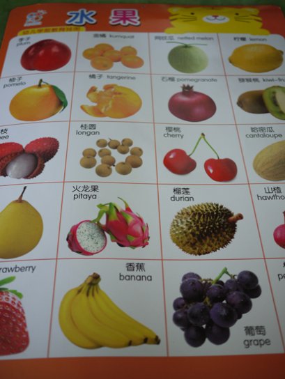 โปสเตอร์คำศัพท์ภาษาจีนหมวดผลไม้ต่างๆ