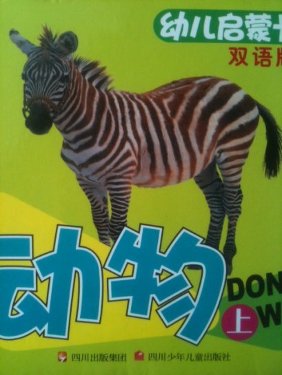 บัตรคำศัพท์ขนาดใหญ่ เรื่องสัตว์ต่างๆ ชุดที่ 1