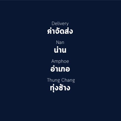 อำเภอ ทุ่งช้าง