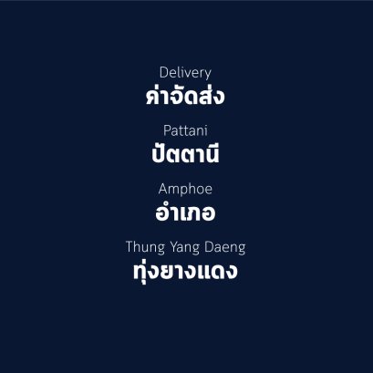 อำเภอ ทุ่งยางแดง