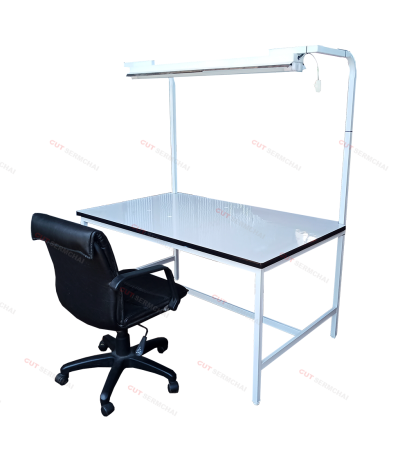 โต๊ะตรวจงาน