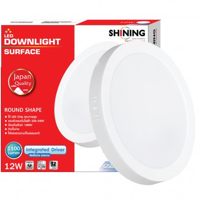 LED Downlight Surface 12W