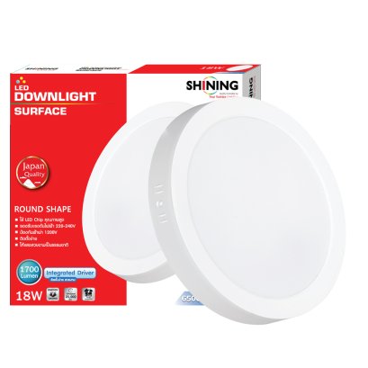 LED Downlight Surface 18W