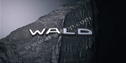 Logo WALD ติดฝากระโปรง โครเมียม