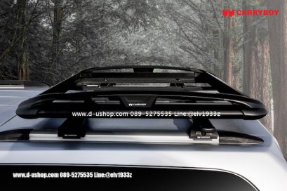 แร็คหลังคาแครี่บอยขนาด 100X120 สำหรับรถ Honda CRV All New 2017