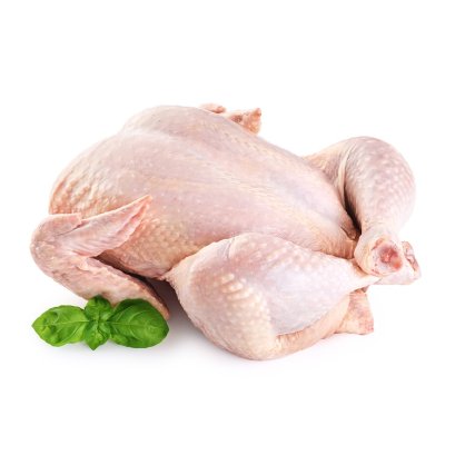 ไก่ขนเหลือง