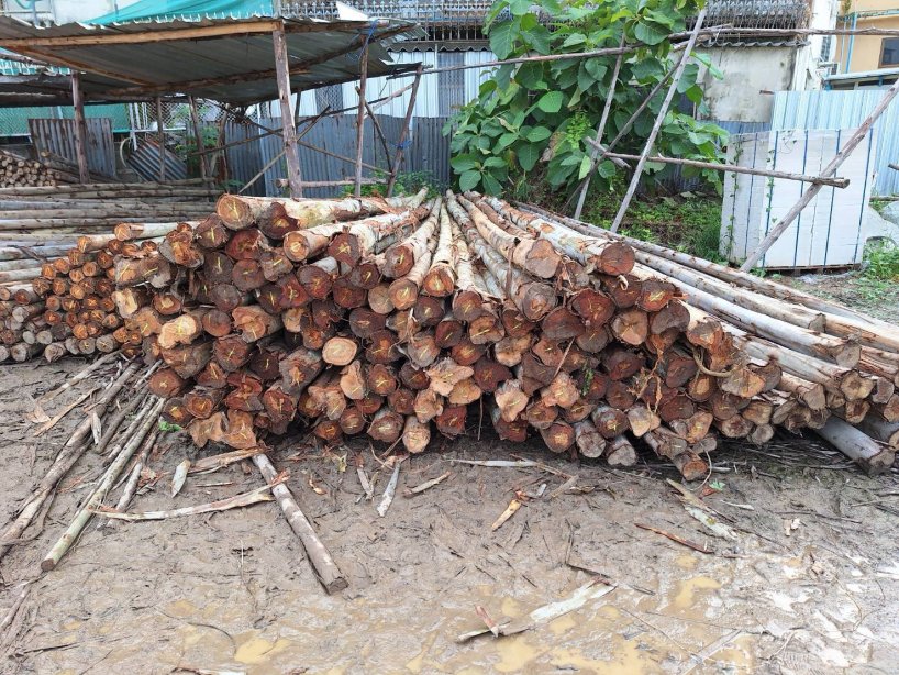 ไม้ยูคา 5" x 6.00 เมตร