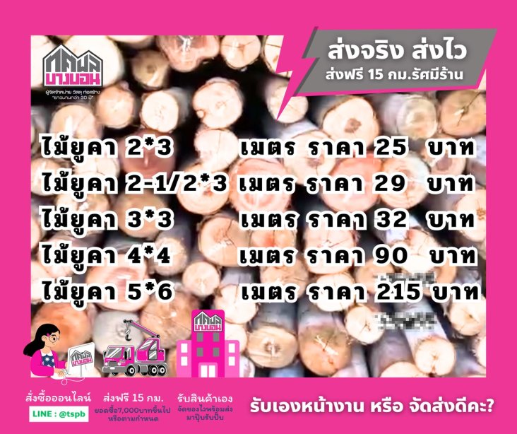 ไม้ยูคา