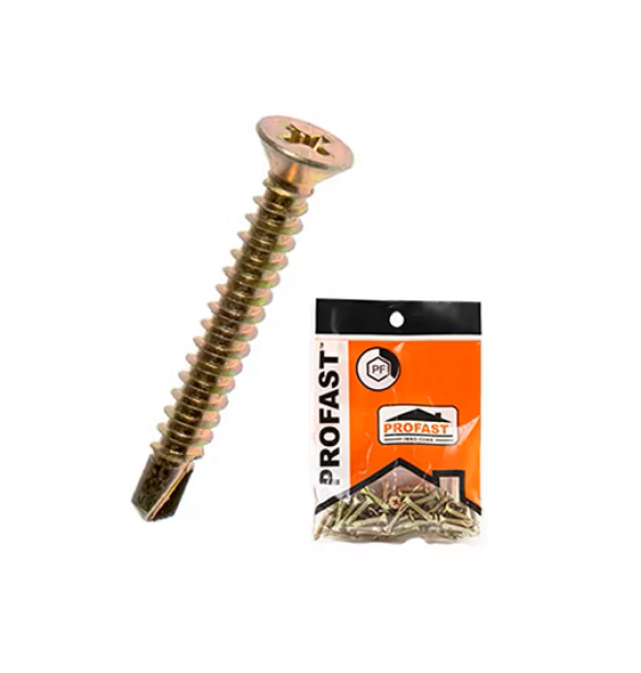 สกรูปลายสว่าน #8Fx2" (PROFAST)