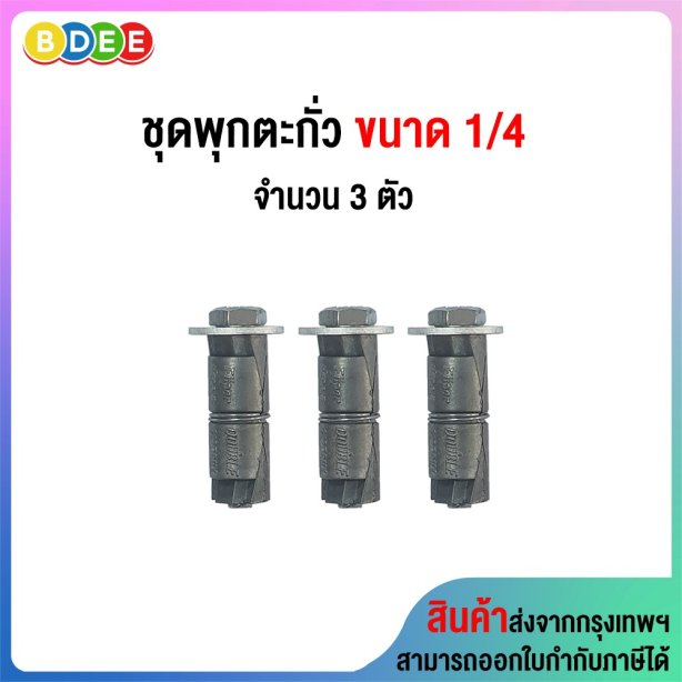 ชุดพุกตะกั่วพร้อมสกรู 1/4 จำนวน 3 ตัว/ชุด